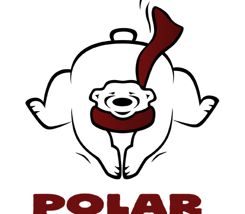 Gamecock Polar Plunge 2020