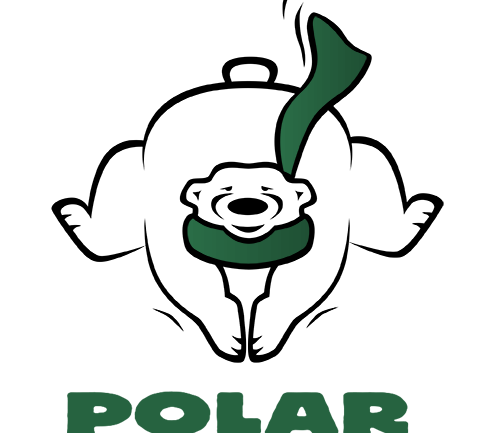 Upstate Polar Plunge 2021